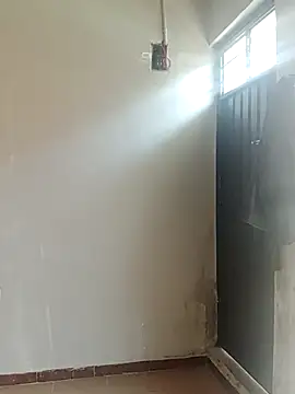 hacheshx online show from March 2026 03:38:02 PM