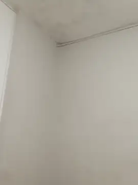 hacheshx online show from March 2026 09:56:02 AM