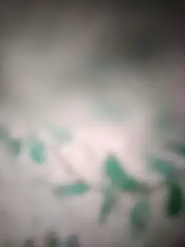 King night1 online show from March 2026 10:05:01 PM