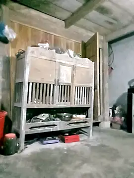 hasaki001 online show from March 2026 10:20:01 PM