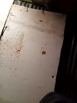 Snapshot of cuteboy023dick chatting on March 2026 01:50:02 PM cuteboy023dick online show from March 2026 01:50:02 PM