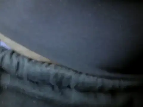 Sexy-Ebonise online show from March 2026 09:13:01 AM