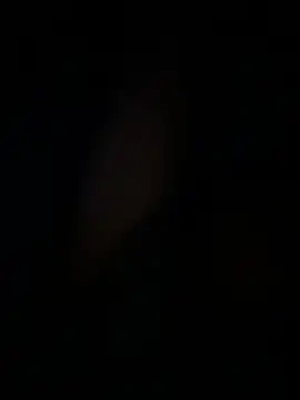 amartinezszz online show from March 2026 08:53:01 AM