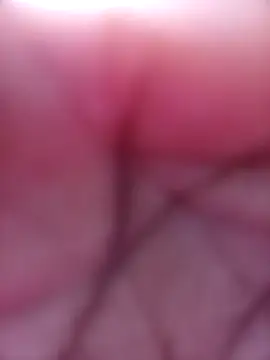 SexyJellyBee online show from March 2026 11:57:01 AM