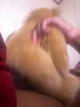 Snapshot of Bigcock127 chatting on March 2026 06:57:01 PM Bigcock127 online show from March 2026 06:57:01 PM