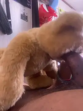 Snapshot of Bigcock127 chatting on March 2026 08:25:02 PM Bigcock127 online show from March 2026 08:25:02 PM