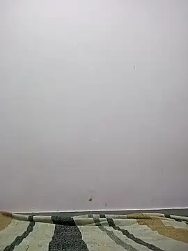 M  Payal   online show from March 2026 05:22:01 AM