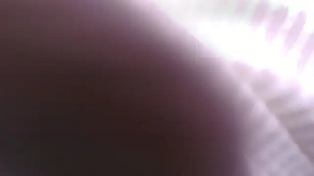 Lucia  vega online show from May 2026 11:18:02 AM