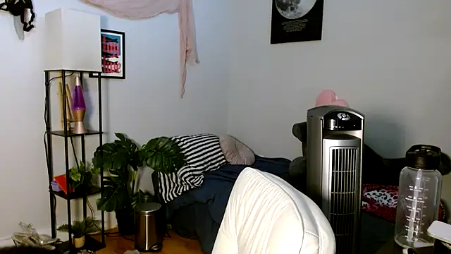 Snapshot of solifaye chatting on April 2026 03:20:02 PM solifaye online show from April 2026 03:20:02 PM