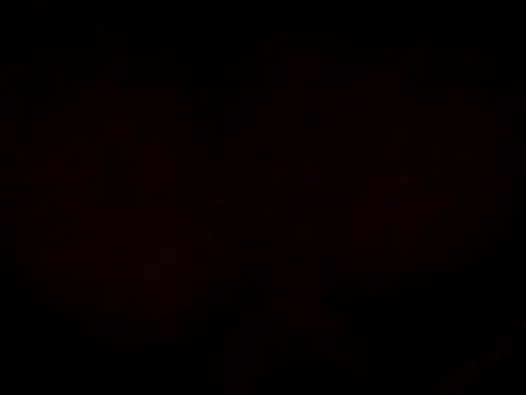 17Komodo online show from May 2026 04:58:02 PM