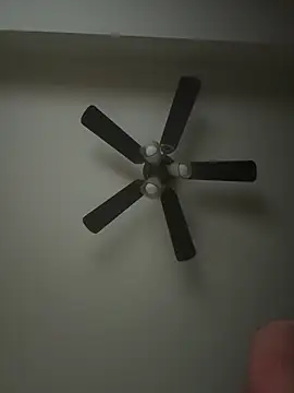 whitelioncody online show from April 2026 07:00:02 AM