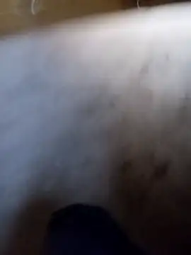 Snapshot of vrlarga chatting on April 2026 10:07:02 PM vrlarga online show from April 2026 10:07:02 PM