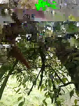 Snapshot of xjkedv chatting on June 2026 06:45:01 PM xjkedv online show from June 2026 06:45:01 PM