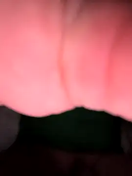 Snapshot of E095 chatting on March 2025 03:53:02 AM E095 online show from March 2025 03:53:02 AM