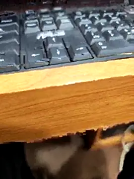 Snapshot of SLBL chatting on March 2026 05:46:02 AM SLBL online show from March 2026 05:46:02 AM