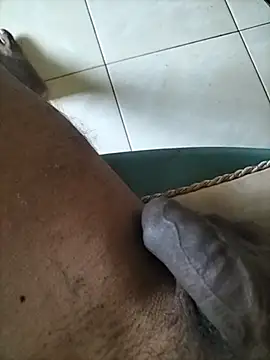 wildguy27 online show from April 2026 07:57:01 AM