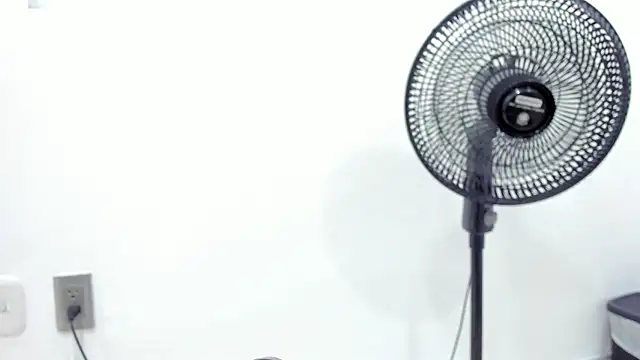 noah chips  online show from April 2026 05:30:01 AM