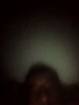 Walidtoto online show from April 2026 12:20:02 AM