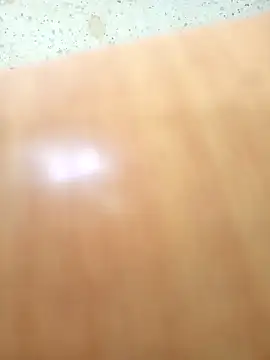 Walidtoto online show from April 2026 10:31:01 AM