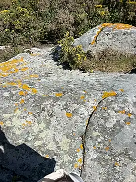 Adventure wifeandblack online show from April 2026 12:47:01 PM