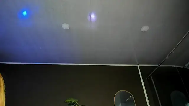 angelina hilton online show from May 2026 12:22:01 PM