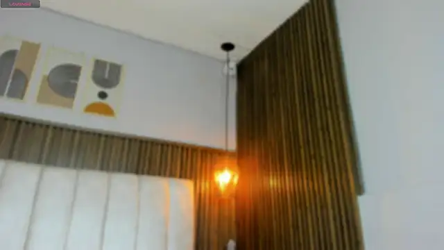 Snapshot of Hayami_Li chatting on June 2026 11:53:01 AM Hayami Li online show from June 2026 11:53:01 AM