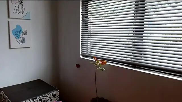 alisonnturbay online show from May 2026 02:04:01 PM