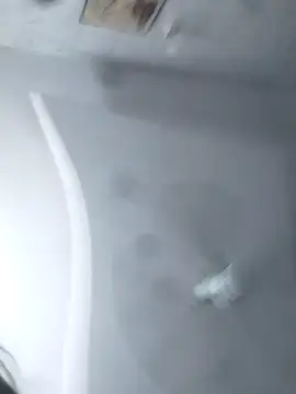 Alisha Queen55 online show from May 2026 02:25:01 PM