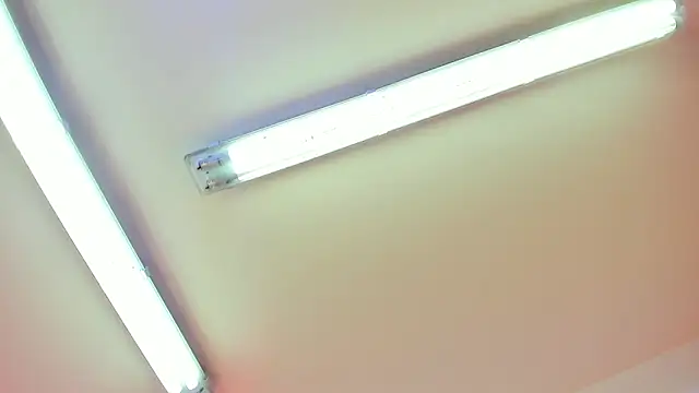 Snapshot of Draco_blaze chatting on May 2026 12:54:02 PM Draco blaze online show from May 2026 12:54:02 PM