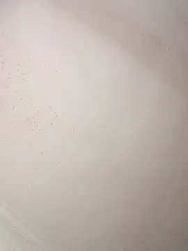 pammybarbwire online show from April 2026 08:46:01 AM