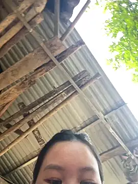 Swan 69 online show from April 2026 09:59:01 AM