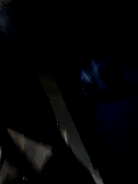Snapshot of pasivagordita chatting on July 2026 09:37:02 AM pasivagordita online show from July 2026 09:37:02 AM