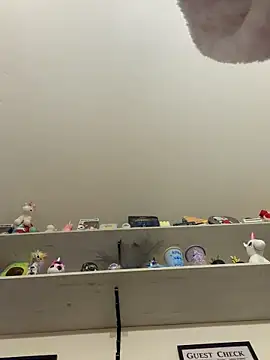 lauasg97 online show from April 2026 11:50:01 PM