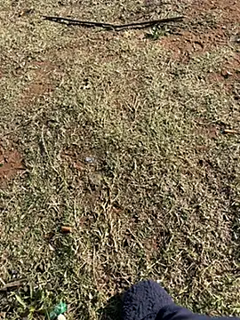 Snapshot of Sphe-2026 chatting on July 2026 07:24:02 AM Sphe-2026 online show from July 2026 07:24:02 AM