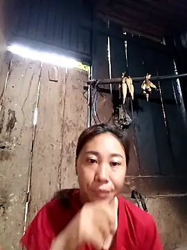 Jinli 01 online show from May 2026 11:11:01 PM