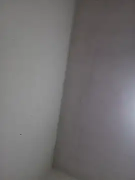 Snapshot of wbrankinha chatting on June 2026 02:33:01 PM wbrankinha online show from June 2026 02:33:01 PM