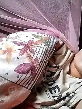Caily-ly online show from July 2026 03:30:01 AM