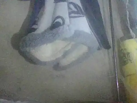 prettybelly online show from May 2026 03:35:01 AM