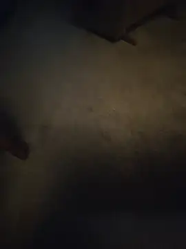 the Milk Man online show from July 2026 02:52:02 AM