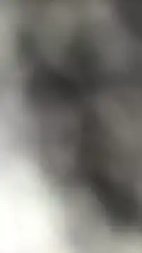 languste25 online show from July 2026 12:09:01 PM