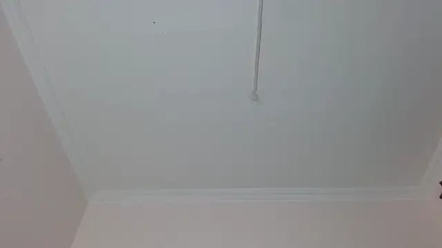 Snapshot of amara_sanchez chatting on July 2026 01:04:01 PM amara sanchez online show from July 2026 01:04:01 PM