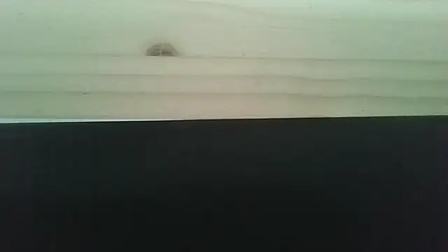 Snapshot of Hendrikje chatting on June 2026 04:42:02 PM Hendrikje online show from June 2026 04:42:02 PM