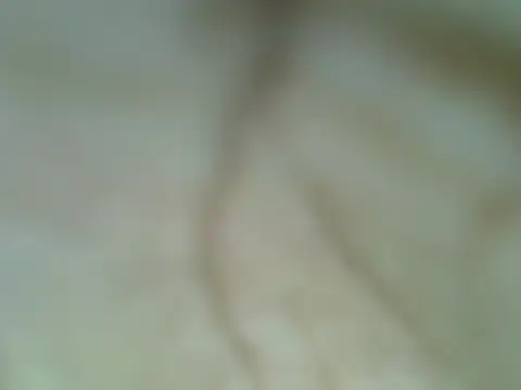 Snapshot of Night_nurse_1 chatting on July 2026 10:12:01 PM Night nurse 1 online show from July 2026 10:12:01 PM