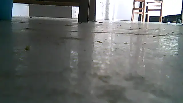 Snapshot of SirFrankonde chatting on August 2026 12:48:02 PM SirFrankonde online show from August 2026 12:48:02 PM