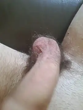 Snapshot of ShyDicksGuy chatting on July 2026 01:02:02 PM ShyDicksGuy online show from July 2026 01:02:02 PM