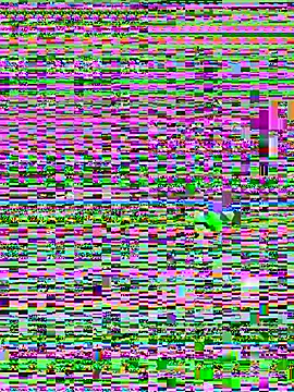 Jelmer57 online show from July 2026 08:51:01 PM