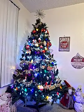 XxMs StarzxX online show from December 2025 11:45:01 PM