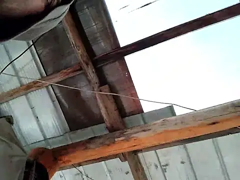 robredoj online show from February 2026 12:31:01 PM