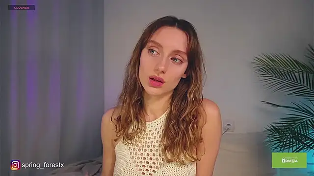 spring forest online show from November 2025 11:49:01 AM