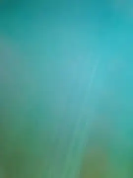 Snapshot of Steveschaw chatting on February 2025 11:04:02 PM Steveschaw online show from February 2025 11:04:02 PM